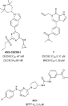 Fig. 3