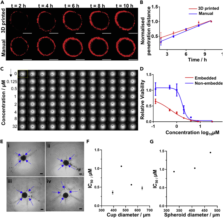 Figure 3