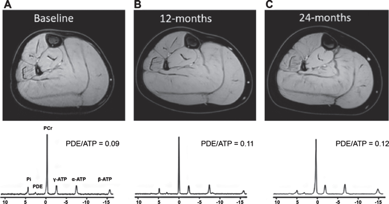 Fig.3