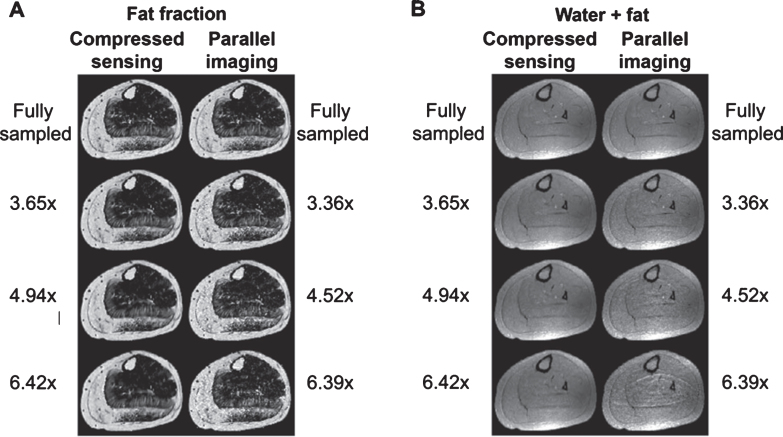 Fig.8