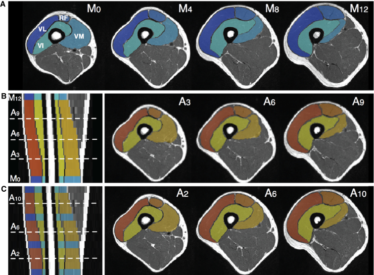 Fig.7