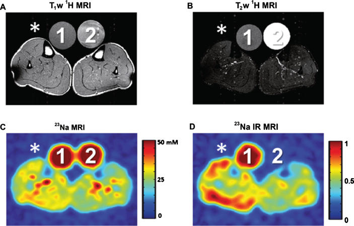 Fig.4