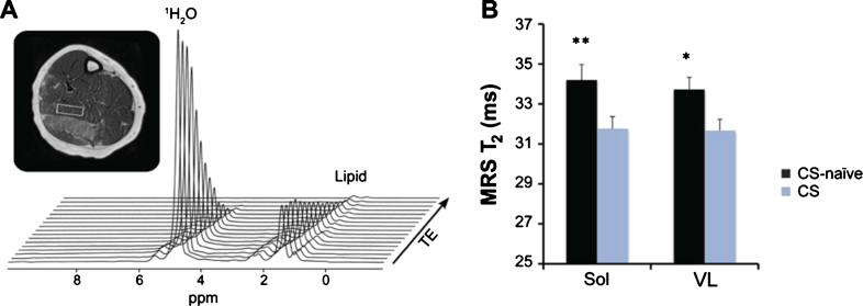 Fig.5