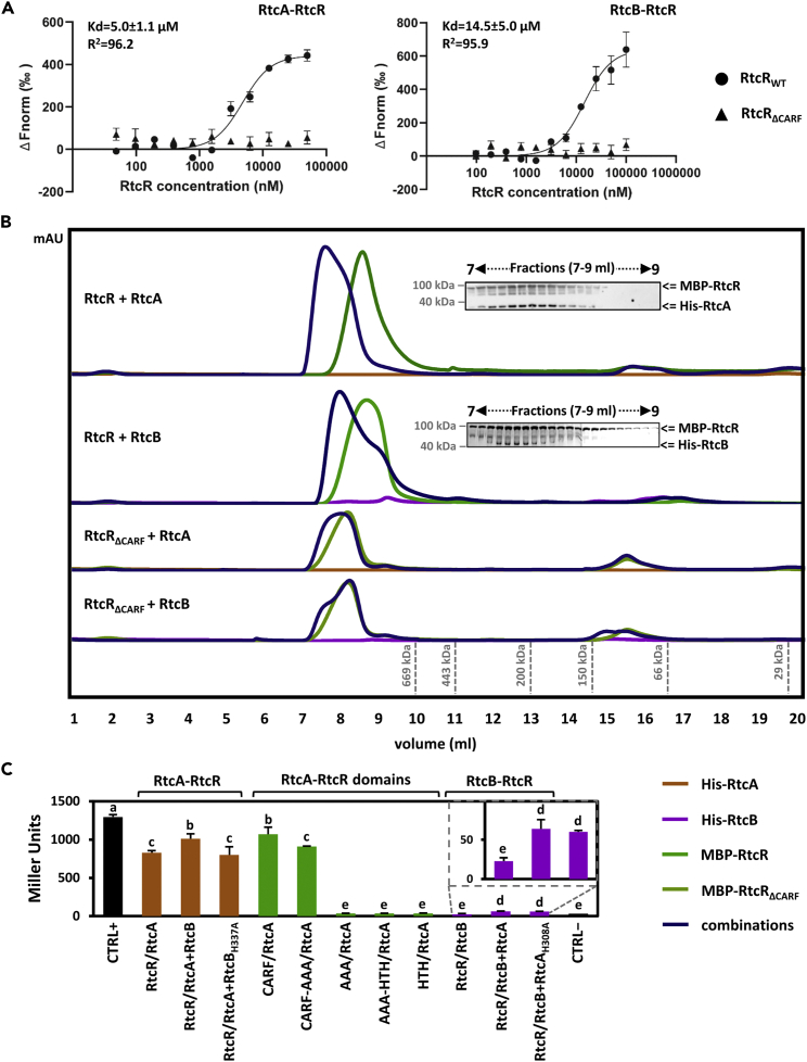 Figure 2