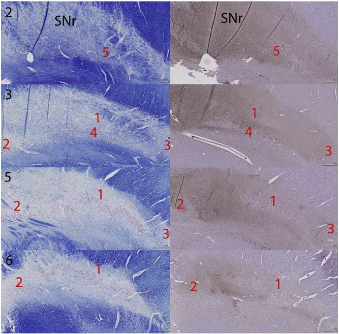 Fig. 3