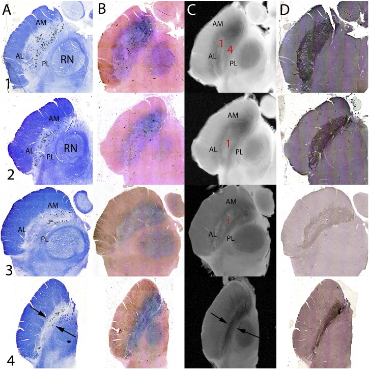 Fig. 5