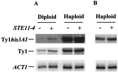 FIG. 6