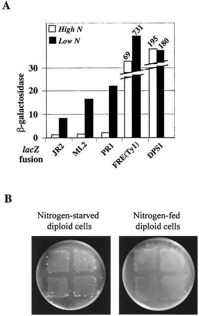 FIG. 7