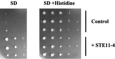 FIG. 8