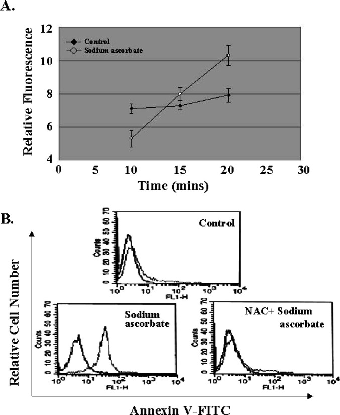 Fig. 2A, B.