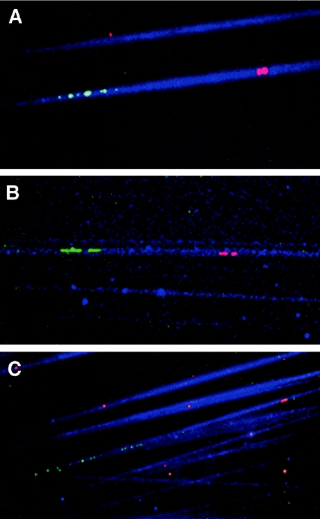 Figure  4