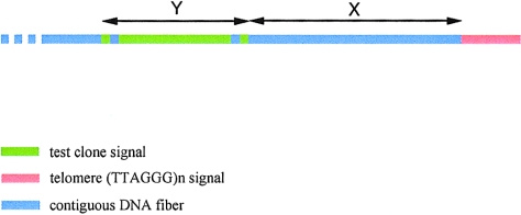 Figure  3