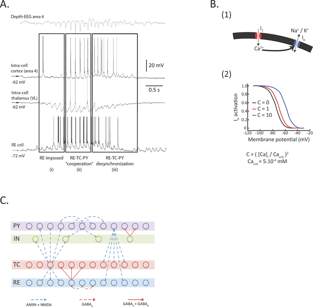 Fig. 1