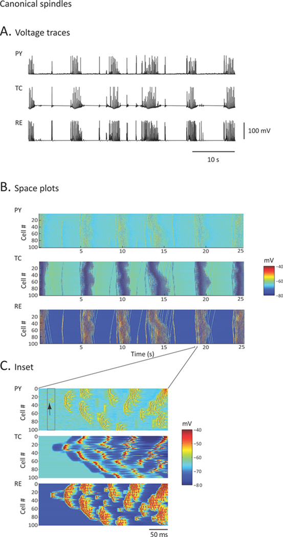 Fig. 2