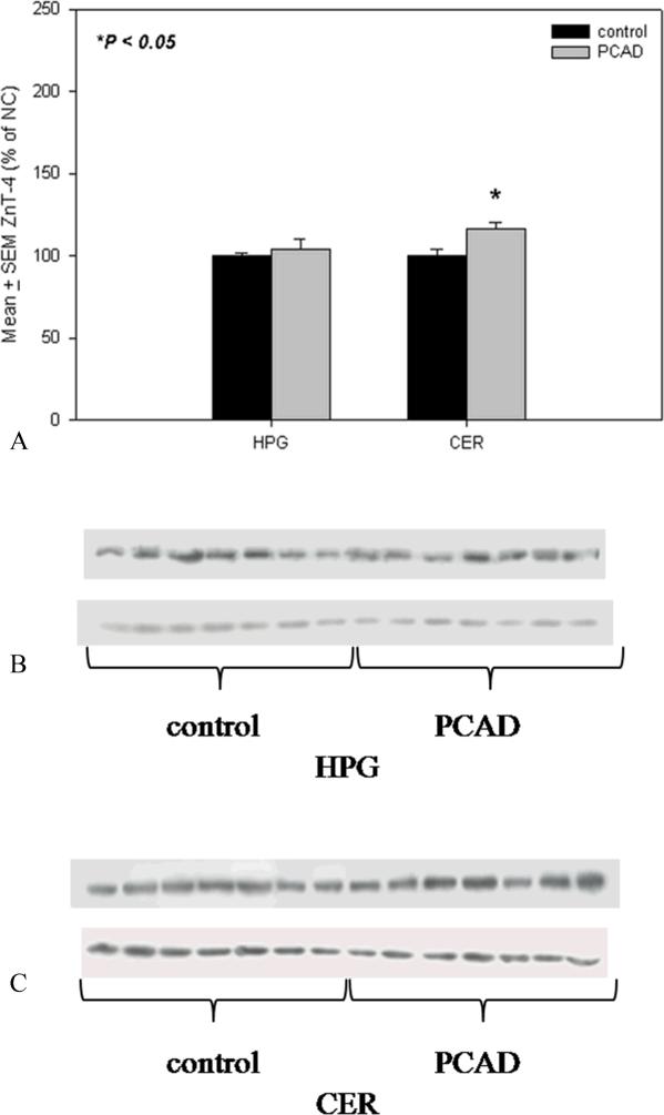 Fig.2