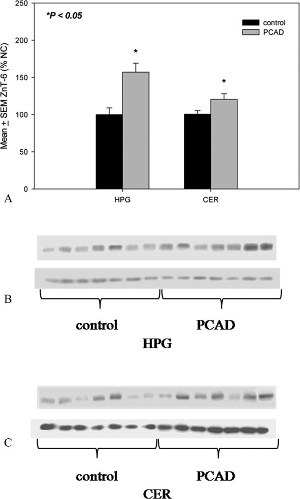 Fig.3