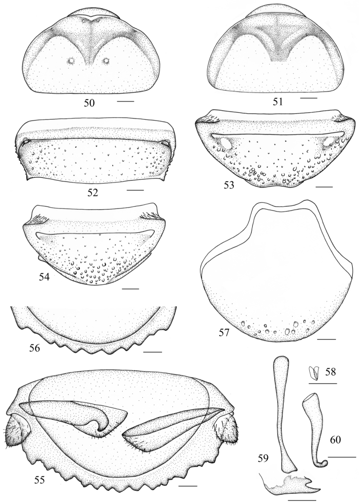 Figures 50–60.