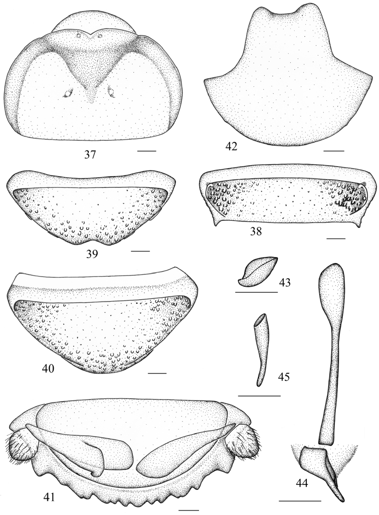 Figures 37–45.