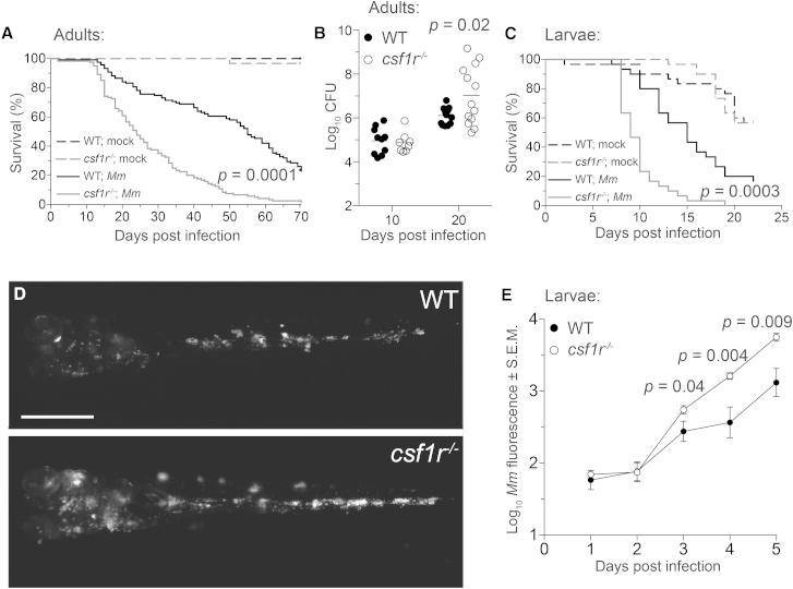 Figure 1