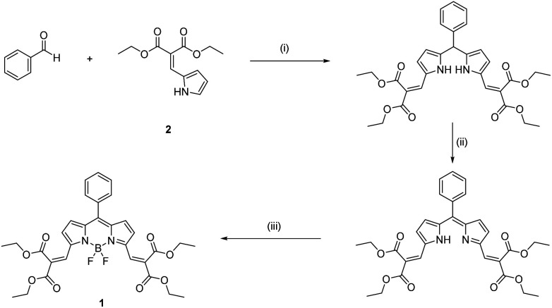 Scheme 2