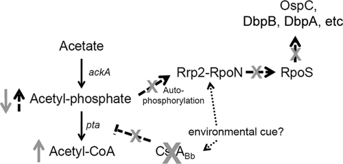 FIG. 9.