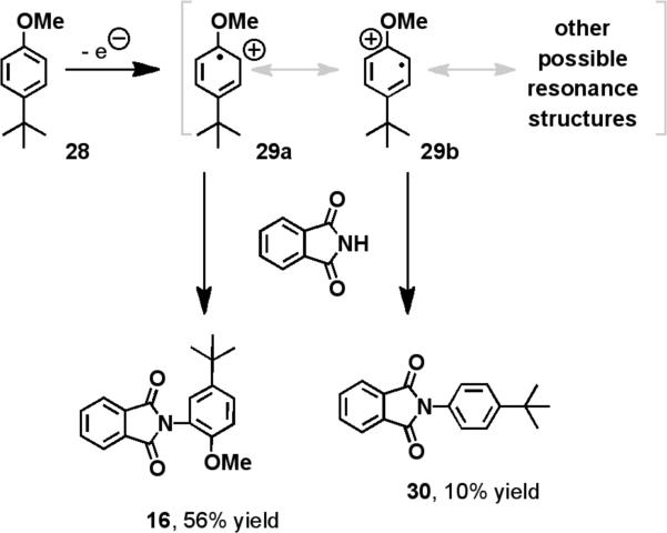 Scheme 4