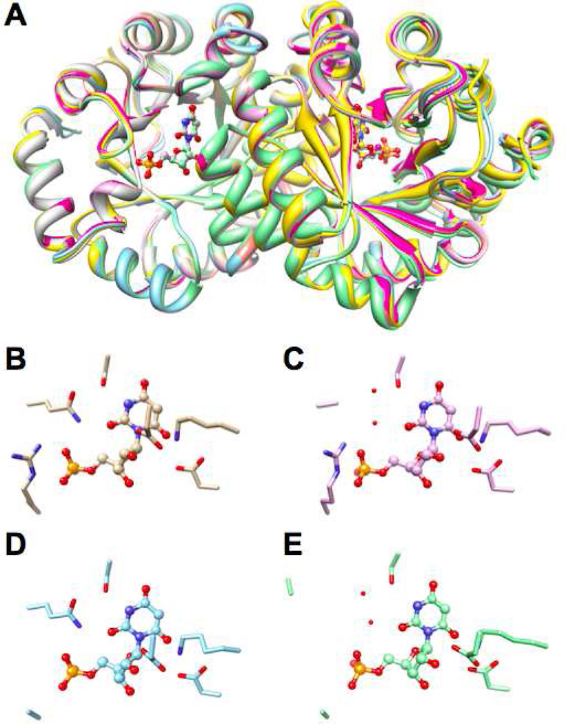 Figure 9