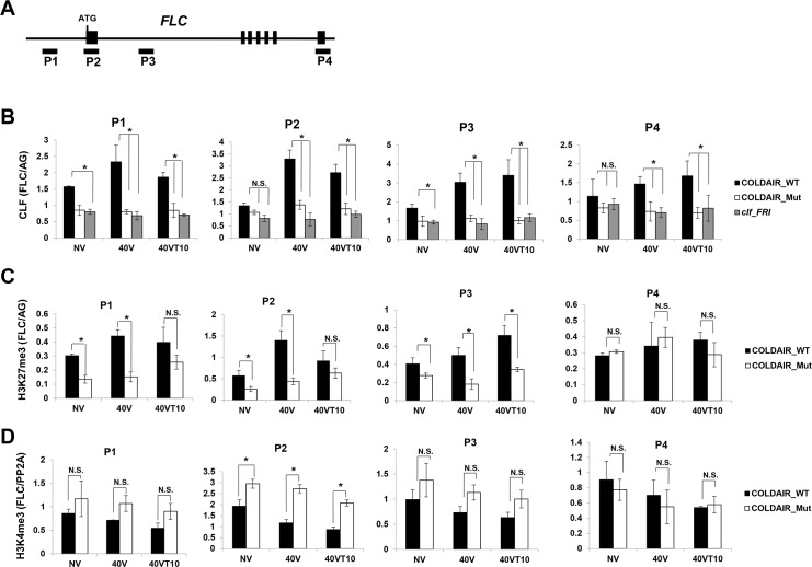 Fig 5