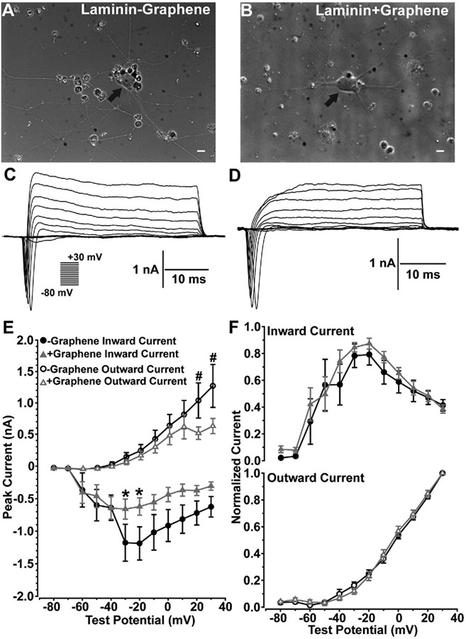 Figure 6.