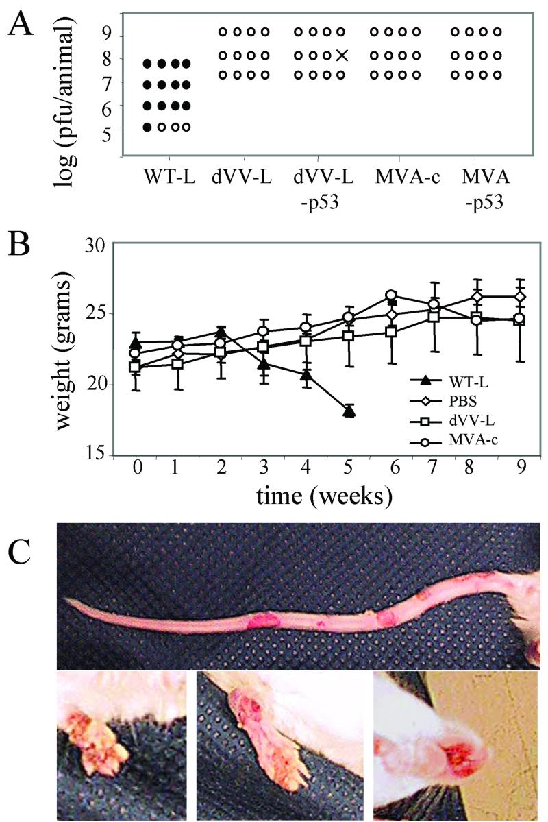 FIG. 7.