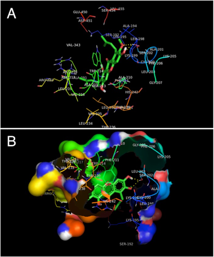 Fig 8