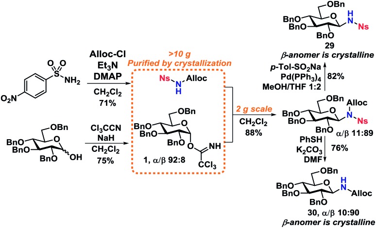 Scheme 8