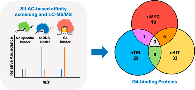 graphic file with name nihms-1769263-f0001.jpg