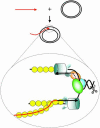 Fig. 5.