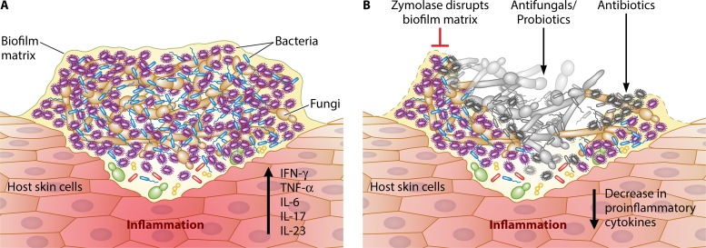 FIG 1 