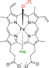 Figure 3—figure supplement 2.