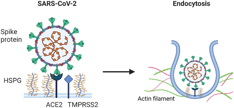 Figure 1: