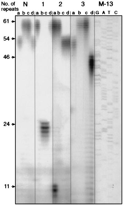 FIG. 1