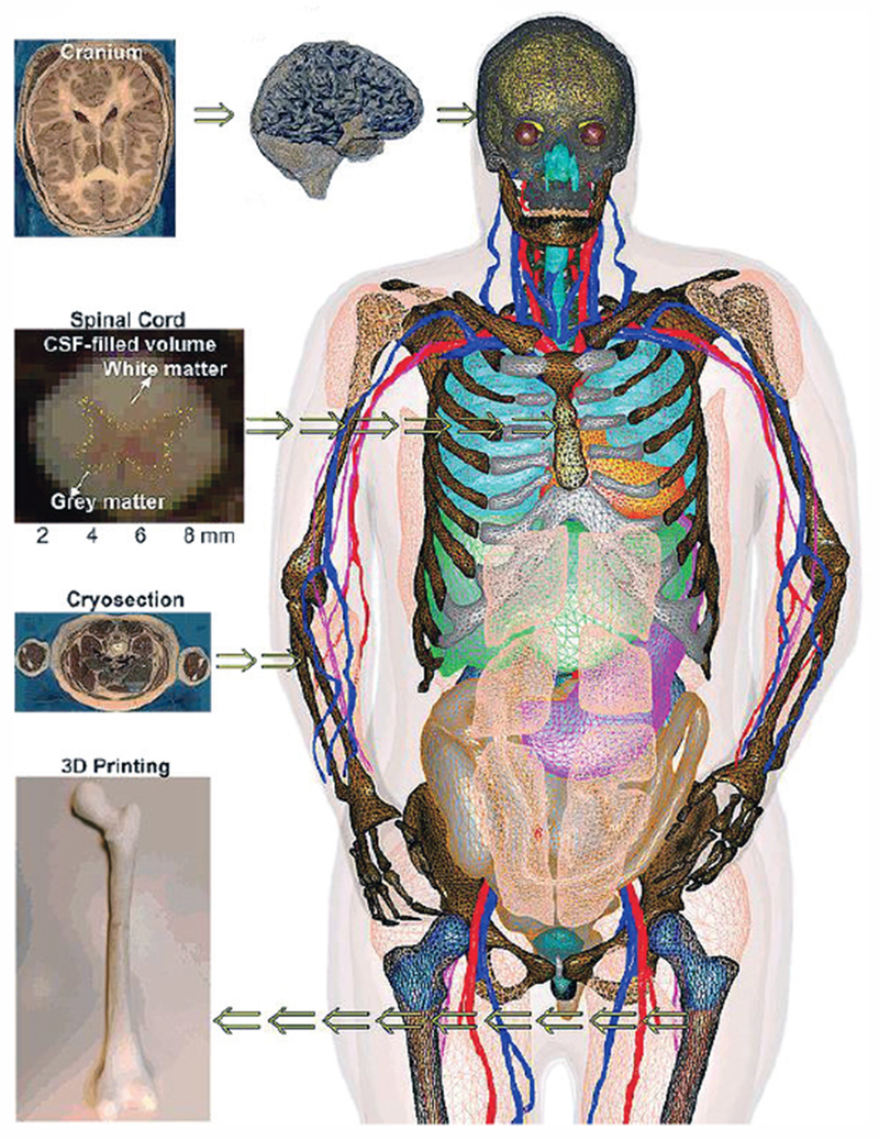 Fig. 3.