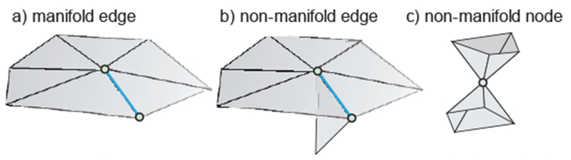 Fig. 12.