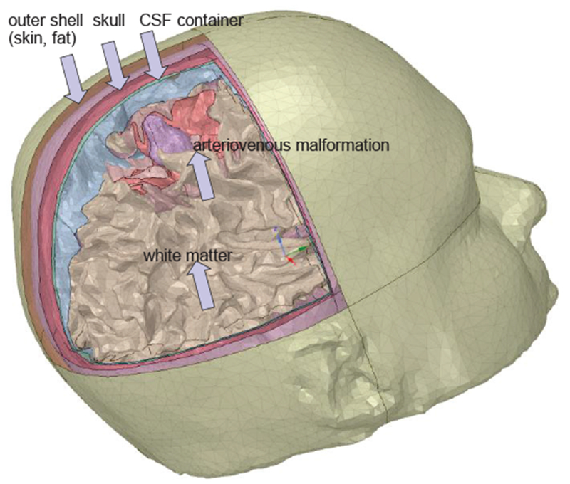 Fig.10.