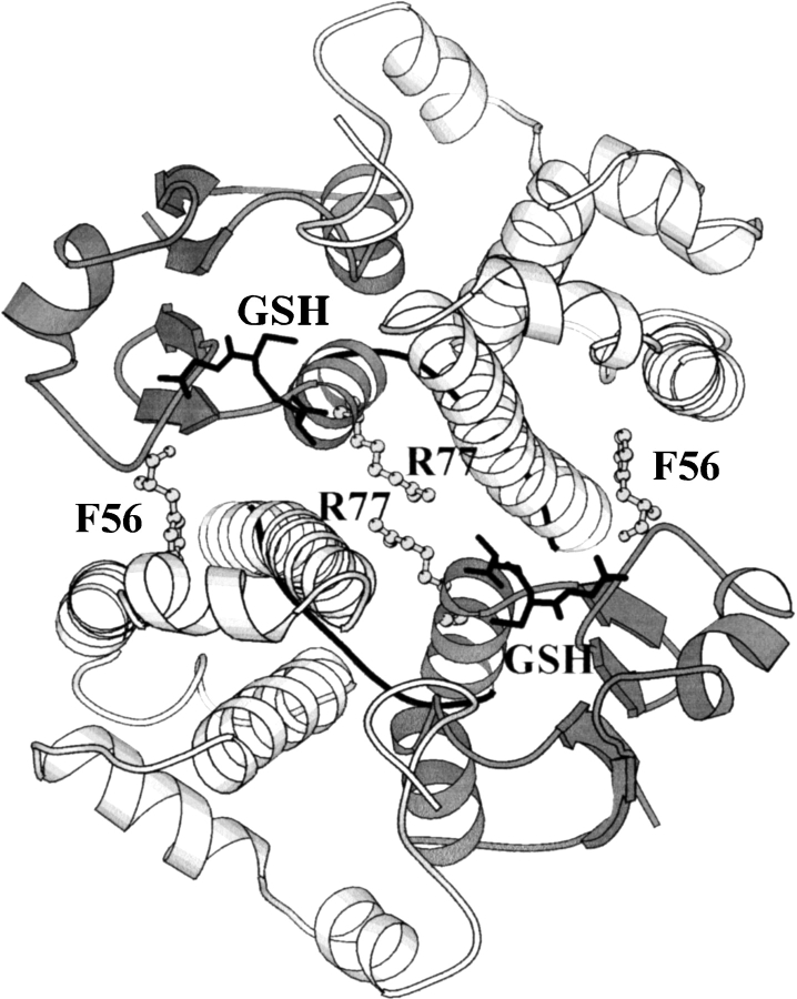 Fig. 1.