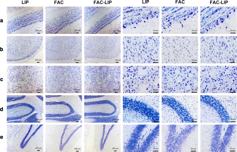 Fig. 7