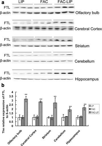 Fig. 4