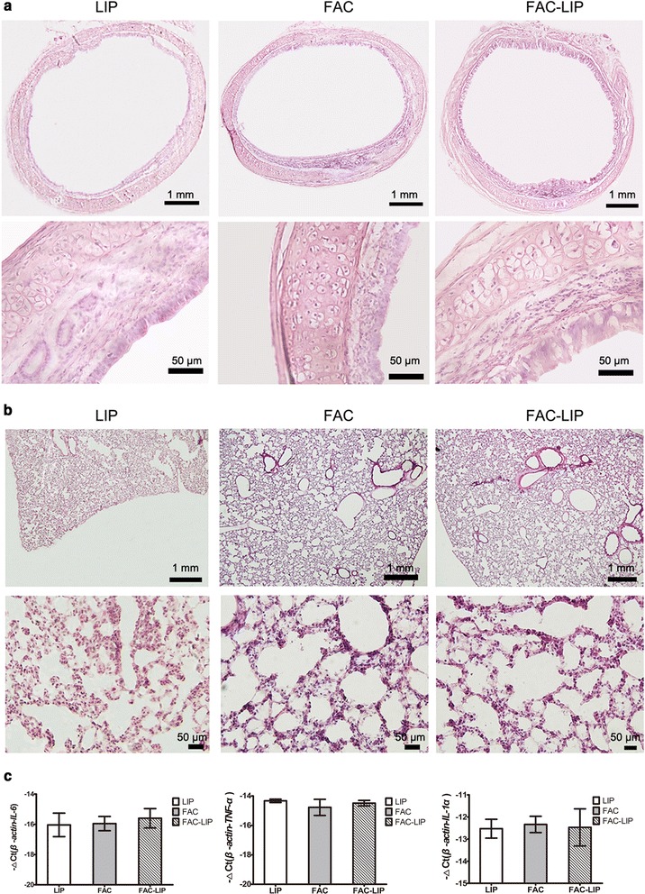 Fig. 9