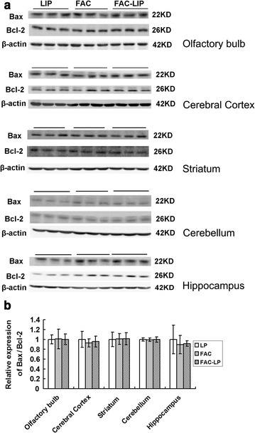 Fig. 6