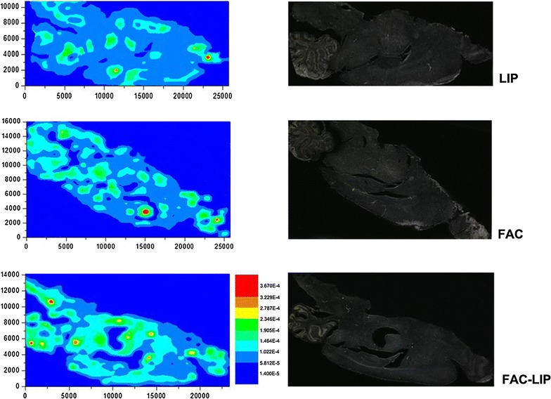 Fig. 2