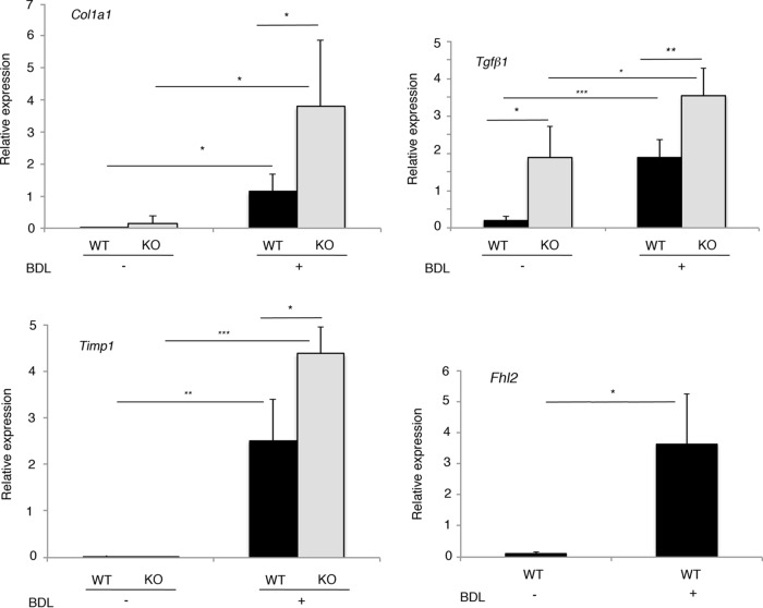 FIG 6