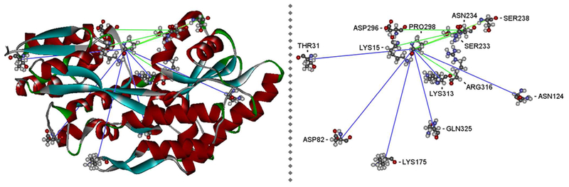 Figure 1: