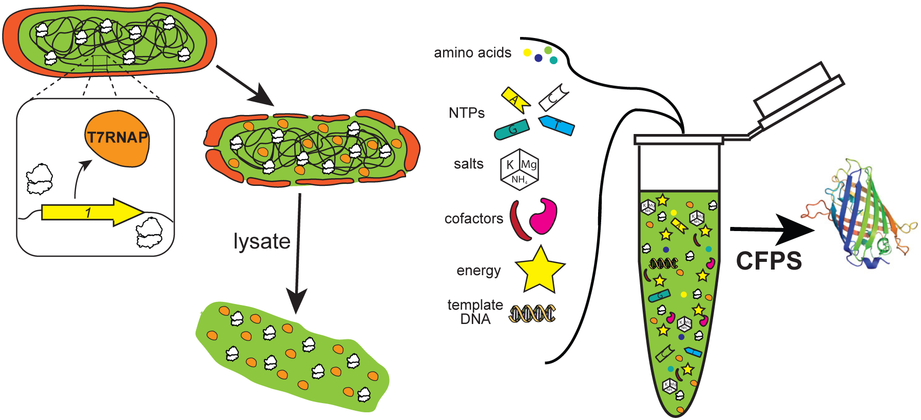 Figure 1.